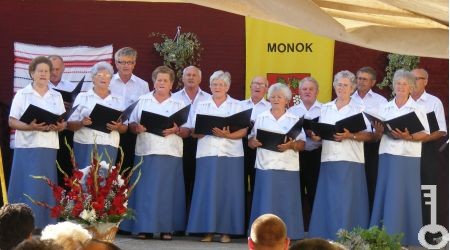 [1_960] monok 06
