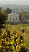 Tokaj Hegyalja Piac – a tal�lkoz�sok helye
