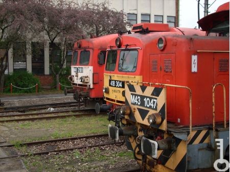[0_960] DSCI0385.JPG