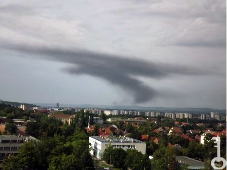 [0_960] fust.JPG