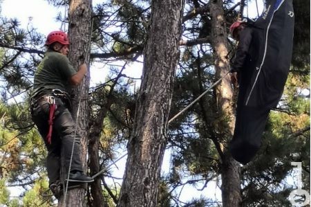 [0_960] sikloernyos.jpg