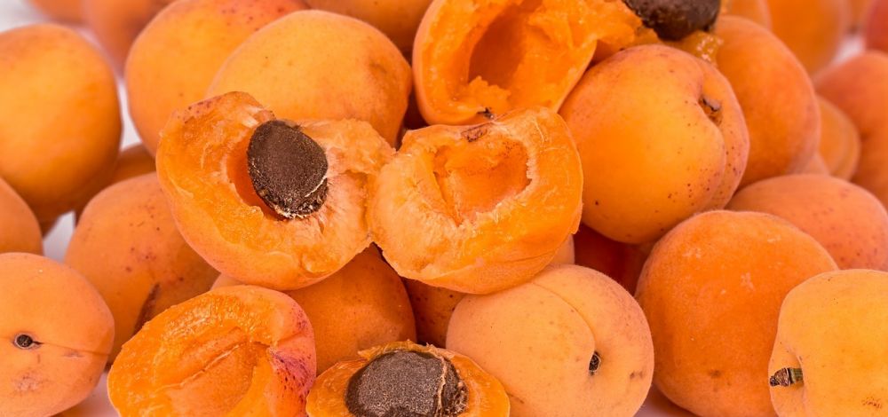 apricots-2994801_12801.jpg