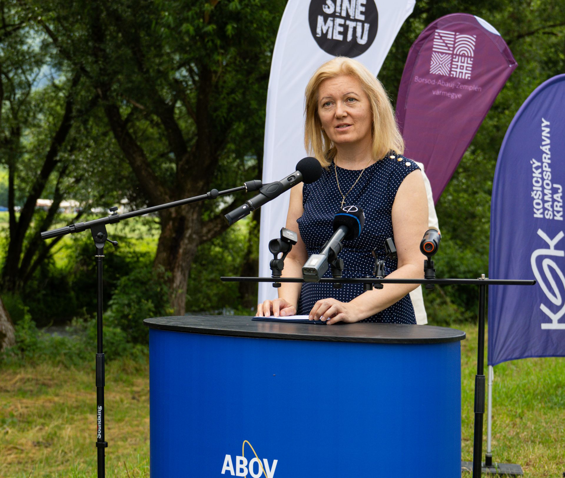 B&aacute;nn&eacute; dr. G&aacute;l Bogl&aacute;rka, a Borsod-Aba&uacute;j-Zempl&eacute;n v&aacute;rmegyei k&ouml;zgyűl&eacute;s eln&ouml;ke ismertette az interreges p&aacute;ly&aacute;zat Edel&eacute;nyi Kast&eacute;lyszigetre vonatkoz&oacute; elemeit a szlov&aacute;kiai Szal&oacute;con tartott sajt&oacute;t&aacute;j&eacute;koztat&oacute;n.