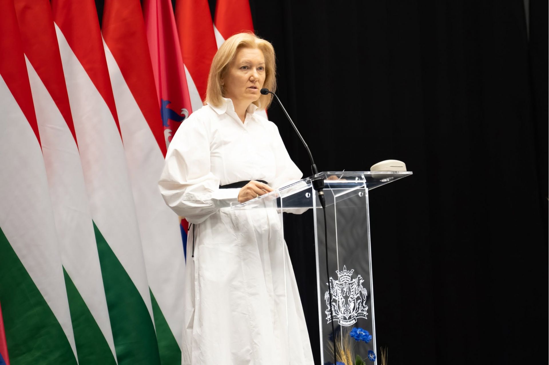 Bánné dr. Gál Boglárka, a Borsod-Abaúj-Zemplén vármegyei közgyűlés elnöke köszöntőt mond az önkormányzat kihelyezett ünnepi közgyűlésén, Bükkábrányban, augusztus 20-a alkalmából.